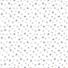 CRISTIANA MASI HAPPY 14843-PAR