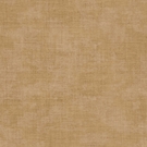 CRISTIANA MASI TEXTUM 24489-PAR