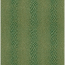 KTE AMAZON RIVER AR1207-KTE