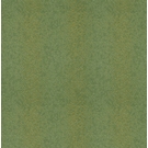 KTE AMAZON RIVER AR1208-KTE