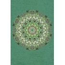 BEHANG EXPRESSE WANNA HAVES DI2025-BEH