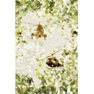 BEHANG EXPRESSE WANNA HAVES DI2030-BEH