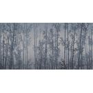 KT-Exclusive INTERMEZZO IM09-1-MATTVINYL-KTE