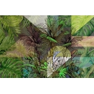 KT-Exclusive INTERMEZZO IM11-2-MATTVINYL-KTE