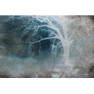 KT-Exclusive INTERMEZZO IM28-2-MATTVINYL-KTE