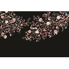 KT-Exclusive INTERMEZZO IM35-4-MATTVINYL-KTE