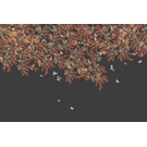 KT-Exclusive INTERMEZZO IM43-2-MATTVINYL-KTE