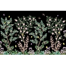 KT-Exclusive INTERMEZZO IM55-4-MATTVINYL-KTE