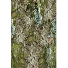 BEHANG EXPRESSE NEW MATERIALS INK7072-BEH