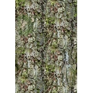 BEHANG EXPRESSE NEW MATERIALS INK7074-BEH