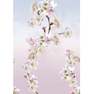 BEHANG EXPRESSE COLORFUL INK7297-BEH