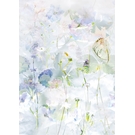 BEHANG EXPRESSE COLORFUL INK7307-BEH