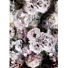 BEHANG EXPRESSE LIGHT & DARK INK7325-BEH