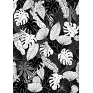 BEHANG EXPRESSE LIGHT & DARK INK7344-BEH