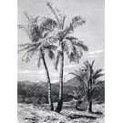 BEHANG EXPRESSE LIGHT & DARK INK7355-BEH