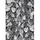 BEHANG EXPRESSE LIGHT & DARK INK7359-BEH