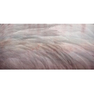 KT-Exclusive GEMINI KT059M-MATTVINYL-KTE