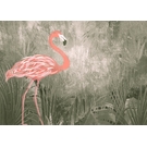 KT-Exclusive GEMINI KT716M-D-MATTVINYL-KTE