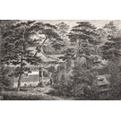 KT-Exclusive GEMINI KT80MF-B-MF-A-MATTVINYL-KTE