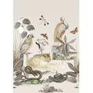 BEHANG EXPRESSE SELECT.D TD4119-BEH