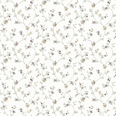 CRISTIANA MASI FIORI COUNTRY 8 12333-PAR