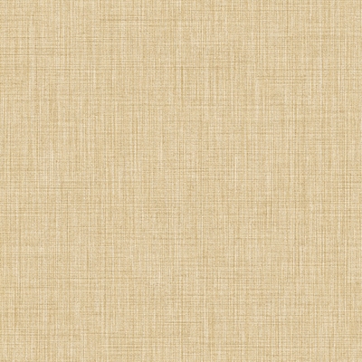 CRISTIANA MASI AMAZZONIA 22083-PAR