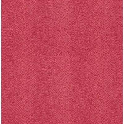 KTE AMAZON RIVER AR1201-KTE