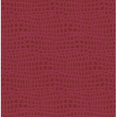 KTE AMAZON RIVER AR1901-KTE