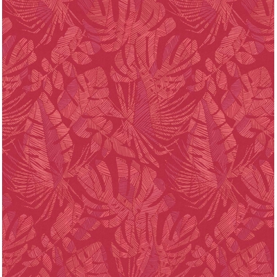 KTE AMAZON RIVER AR6601-KTE