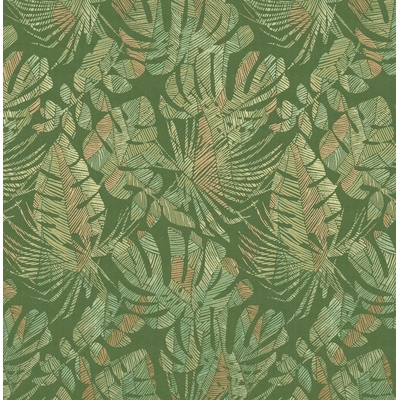 KTE AMAZON RIVER AR6608-KTE