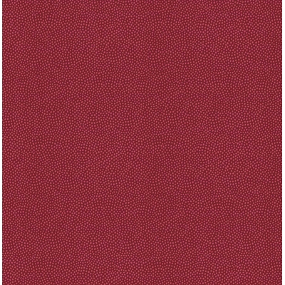 KTE AMAZON RIVER AR7001-KTE