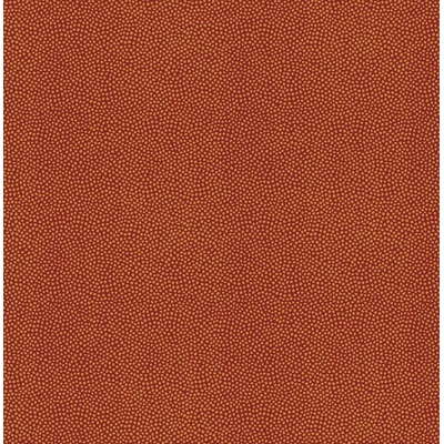 KTE AMAZON RIVER AR7002-KTE