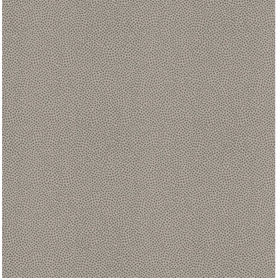 KTE AMAZON RIVER AR7005-KTE