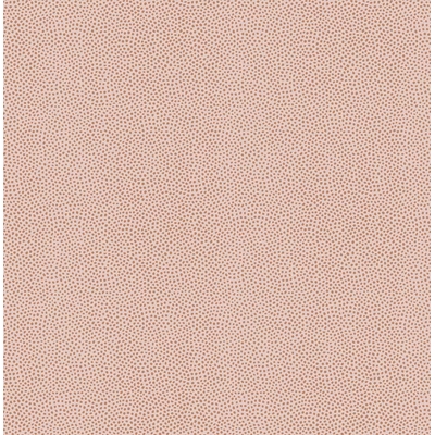 KTE AMAZON RIVER AR7006-KTE