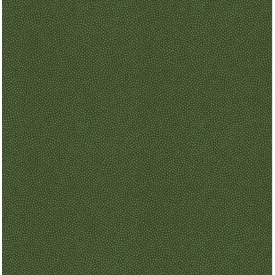 KTE AMAZON RIVER AR7007-KTE