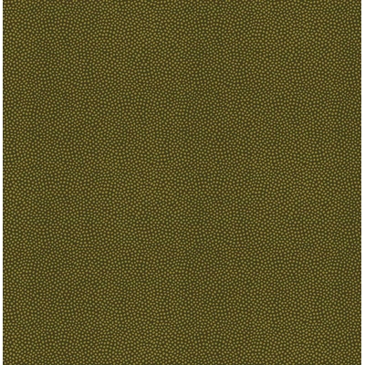 KTE AMAZON RIVER AR7008-KTE