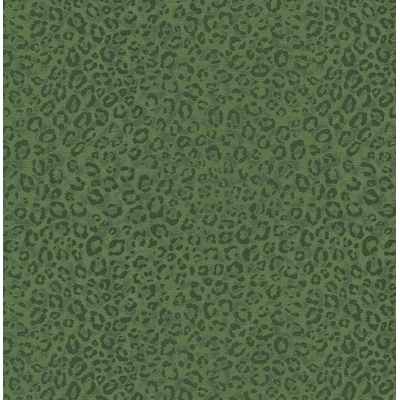 KTE AMAZON RIVER AR9807-KTE