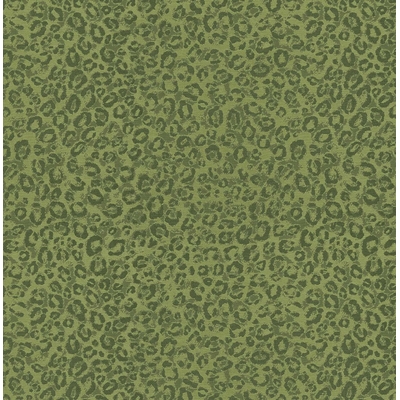 KTE AMAZON RIVER AR9808-KTE