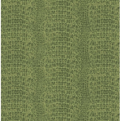 KTE AMAZON RIVER AR9908-KTE