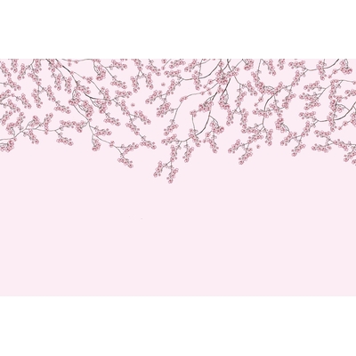 KT-Exclusive INTERMEZZO IM56-3-MATTVINYL-KTE