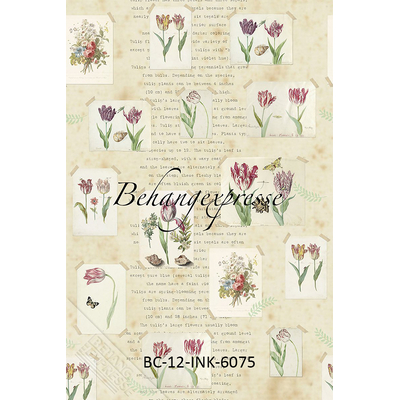 BEHANG EXPRESSE COLOR CHOC IKN6075-BEH