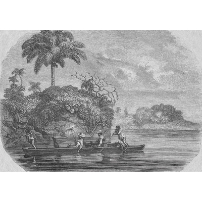 KT-Exclusive GEMINI KT02MF-MATTVINYL-KTE