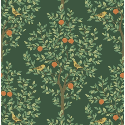 KTE BRITISH HERITAGE III KT31014-KTE