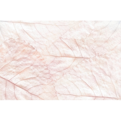 KT-Exclusive GEMINI KT639M-A-MATTVINYL-KTE