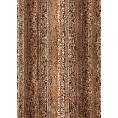 BEHANG EXPRESSE SELECT.D CIRCLE OF LIFE TD4196-BEH