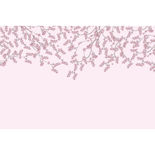 KT-Exclusive INTERMEZZO IM56-3-MATTVINYL-KTE