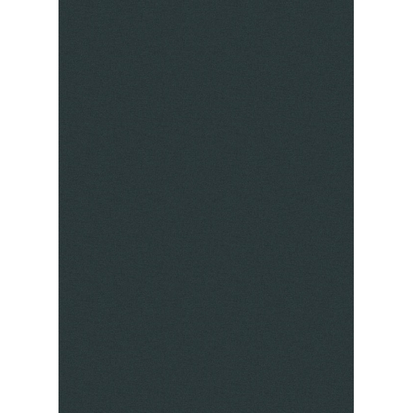 BEHANG EXPRESSE SELECT.D TD4111-BEH